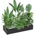 indoor outdoor plant set006 collection - Thumbnail 2