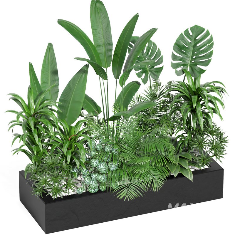 indoor outdoor plant set006 collection - Image 2