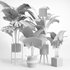 indoor plant set002 - Thumbnail 5