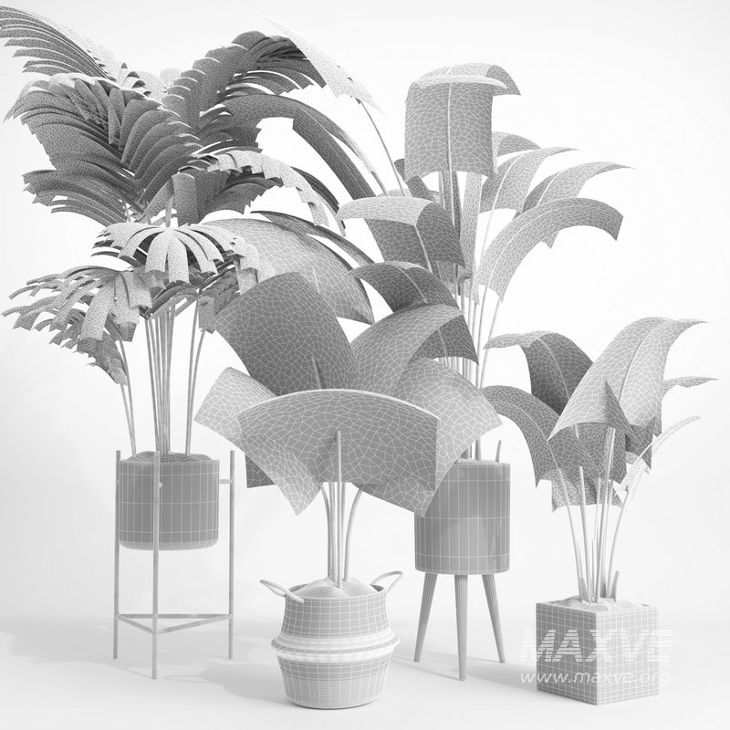 indoor plant set002 - Image 5