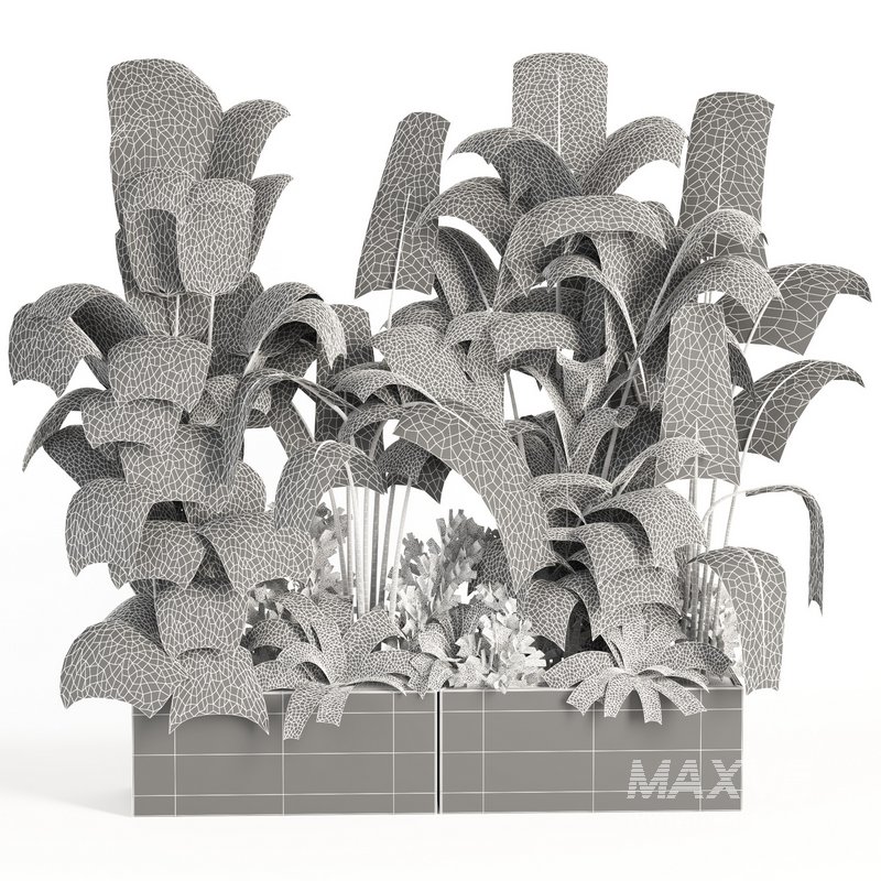 indoor plant set004 - Image 4