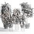 indoor plant set005 collection - Thumbnail 5