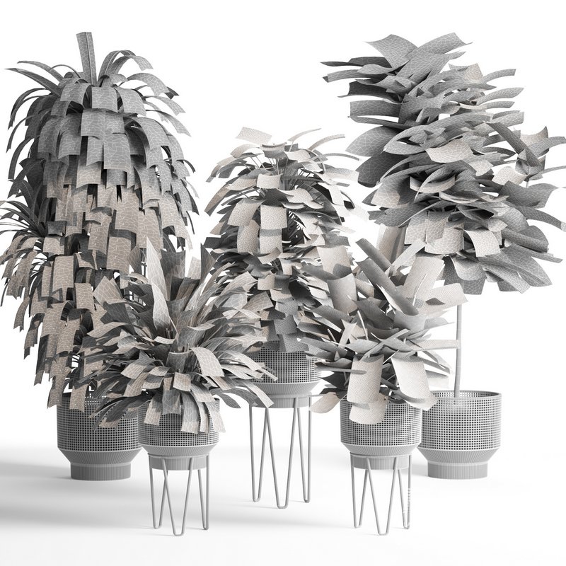 indoor plant set005 collection - Image 5