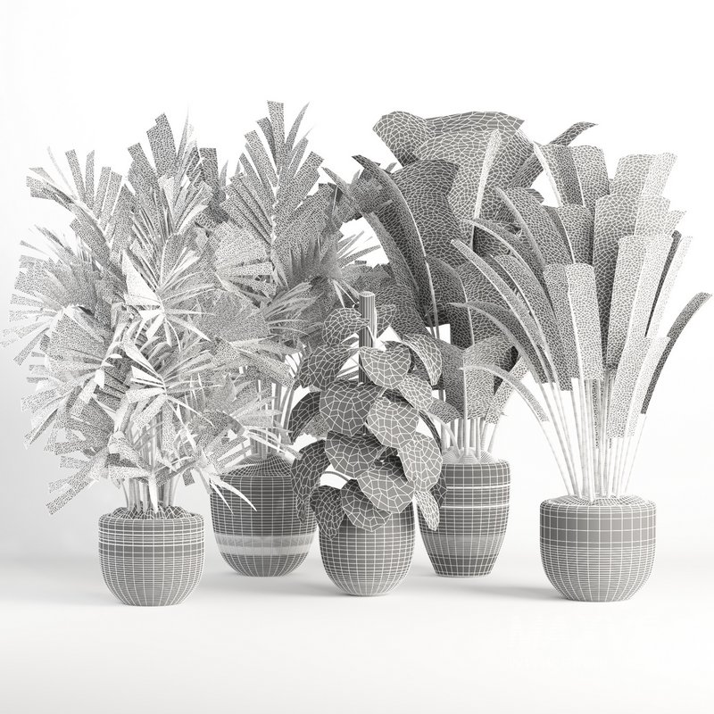 indoor plant set007 collection - Image 6