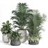 indoor plant set010 collection - Thumbnail 1