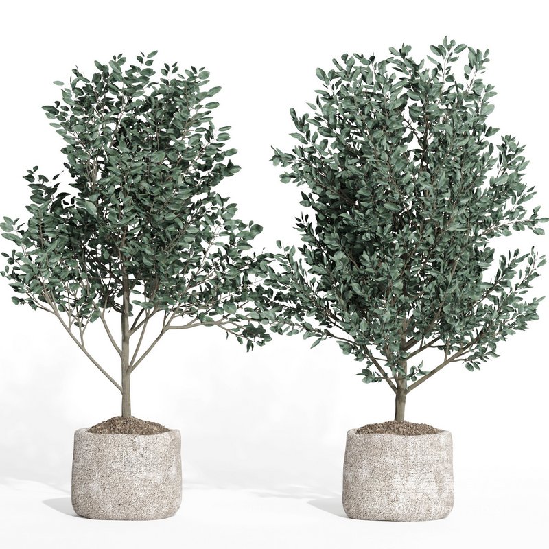 indoor plant set011 collection - Image 3