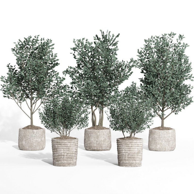 indoor plant set011 collection - Image 4