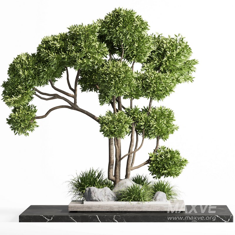 indoor plant set012 - Image 2