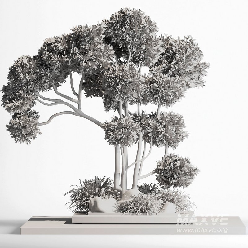 indoor plant set012 - Image 4