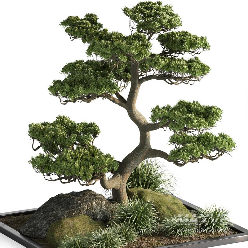 indoor plant set013 - Image 2