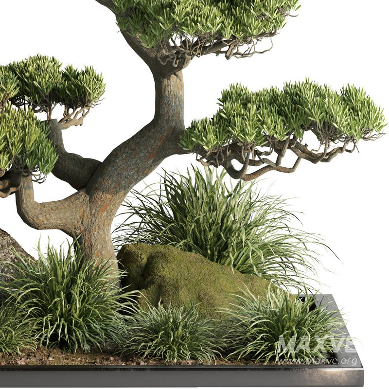 indoor plant set013 - Image 3