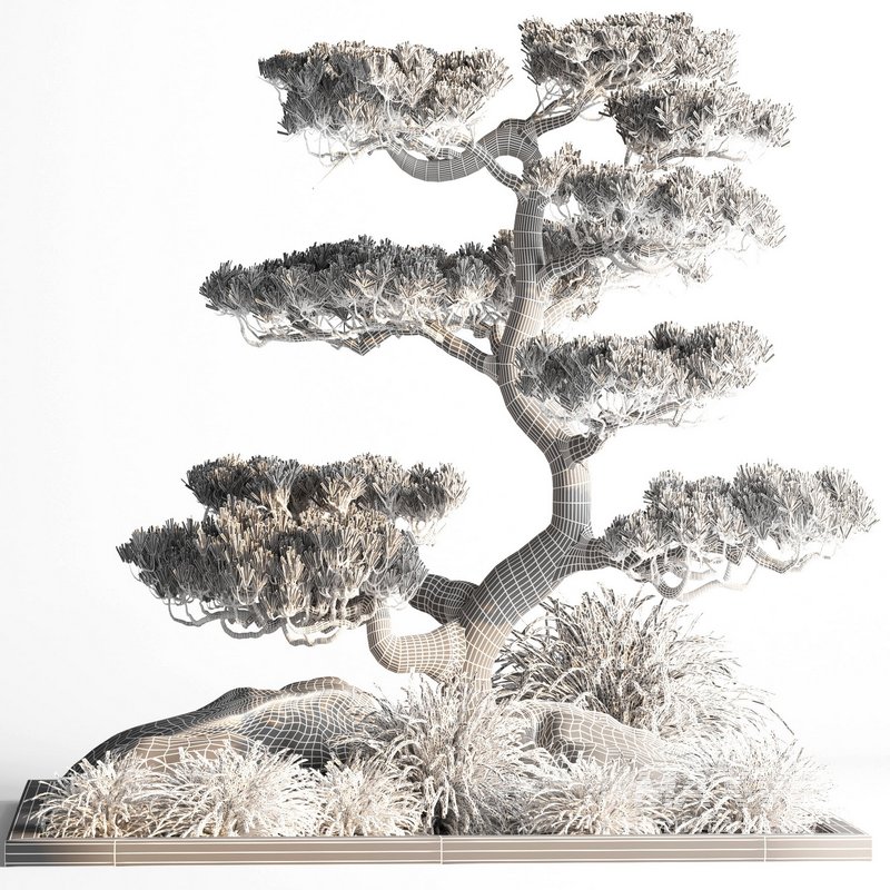 indoor plant set013 - Image 4