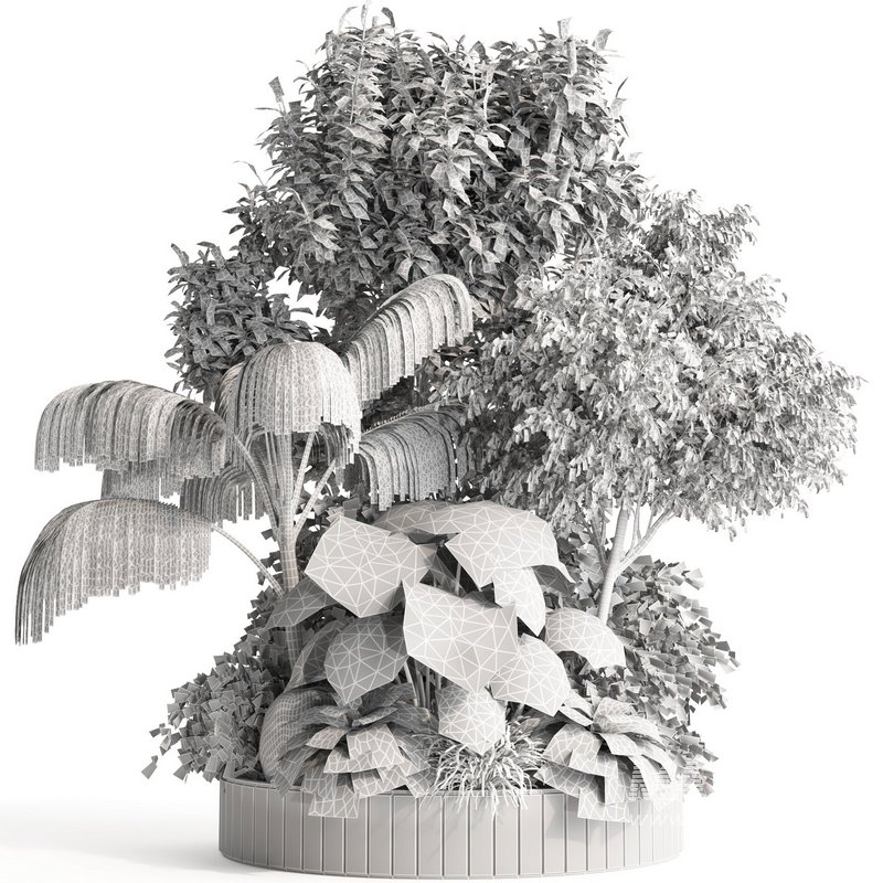 indoor plant set015 collection - Image 4