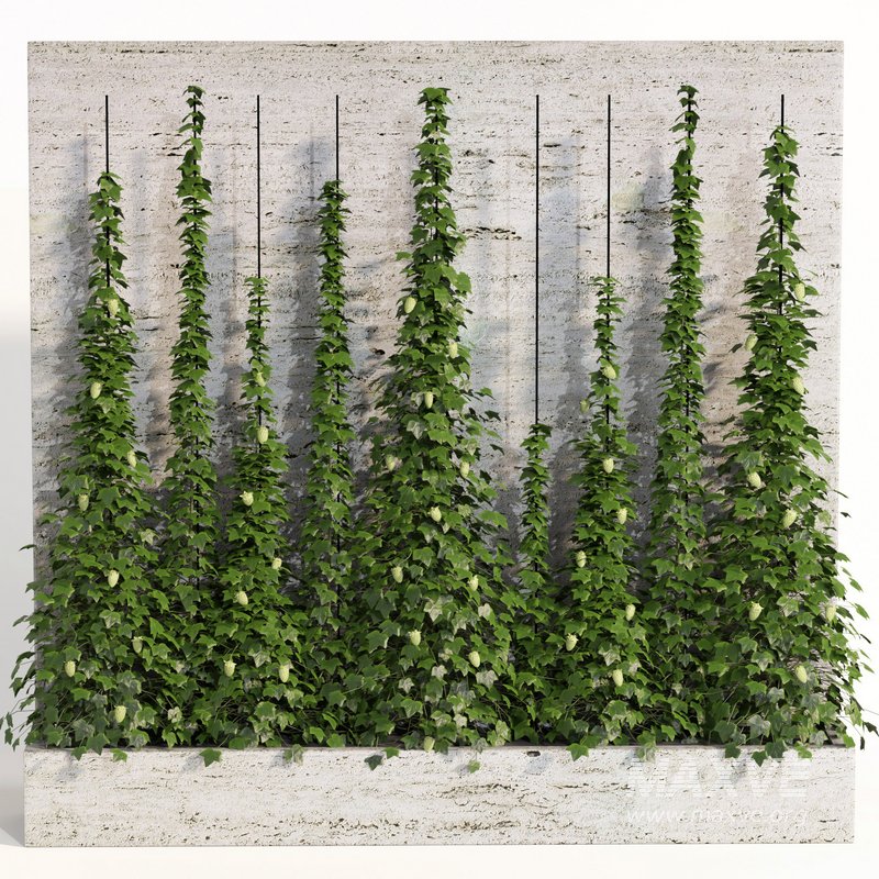 indoor vertical green wall garden01 - Image 1