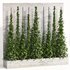 indoor vertical green wall garden01 - Thumbnail 2