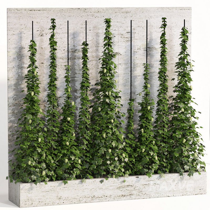 indoor vertical green wall garden01 - Image 2
