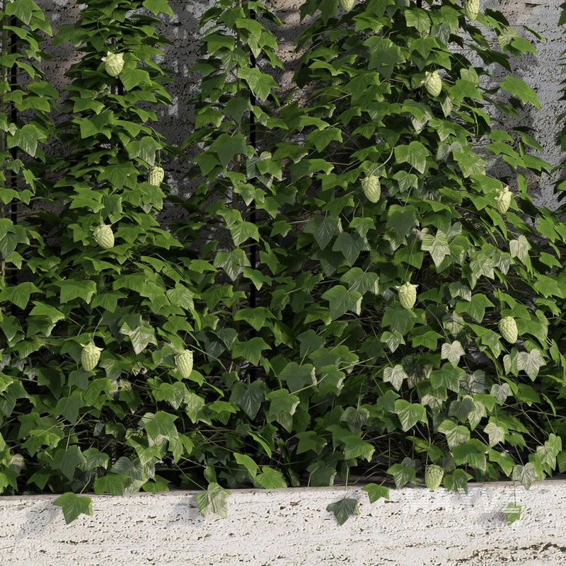 indoor vertical green wall garden01 - Image 3