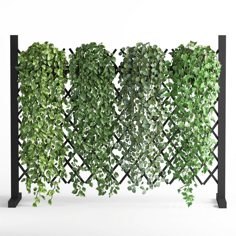 indoor vertical green wall garden02 - Image 1