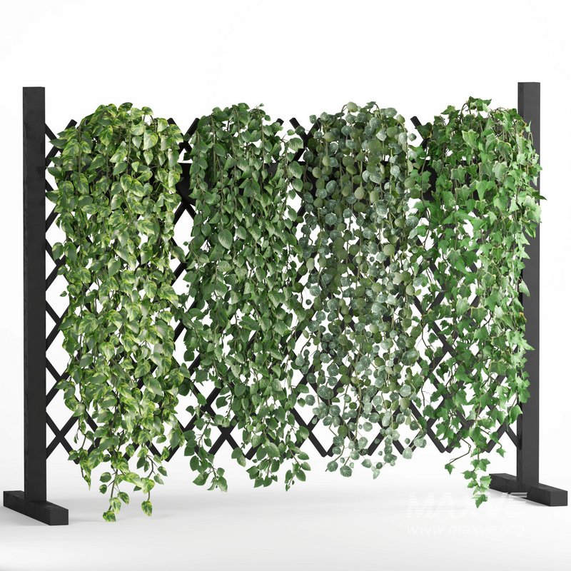 indoor vertical green wall garden02 - Image 2