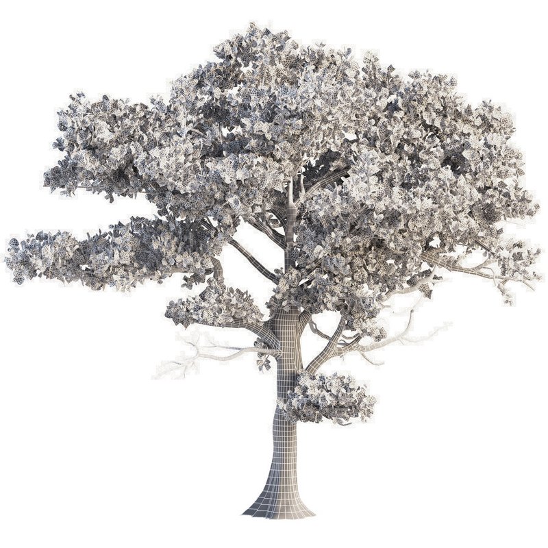 landscape environment tree set01 - Image 2