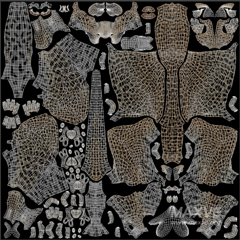 Leopard - Image 12