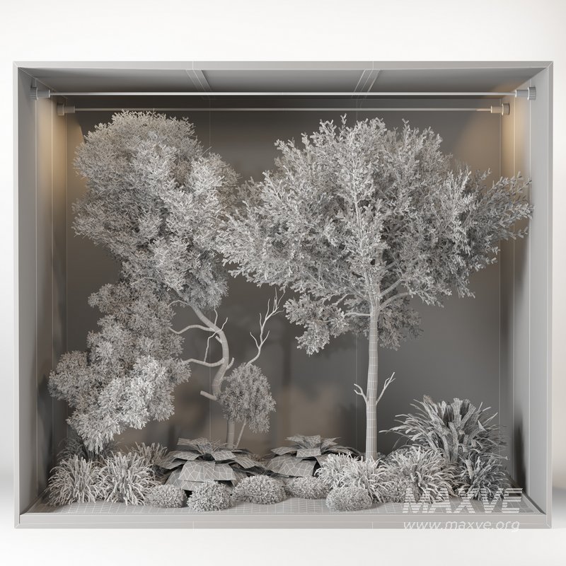 outdoor garden tree plant011 collection - Image 5