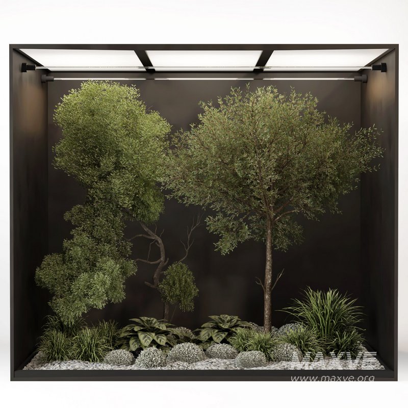 outdoor garden tree plant011 collection - Image 1