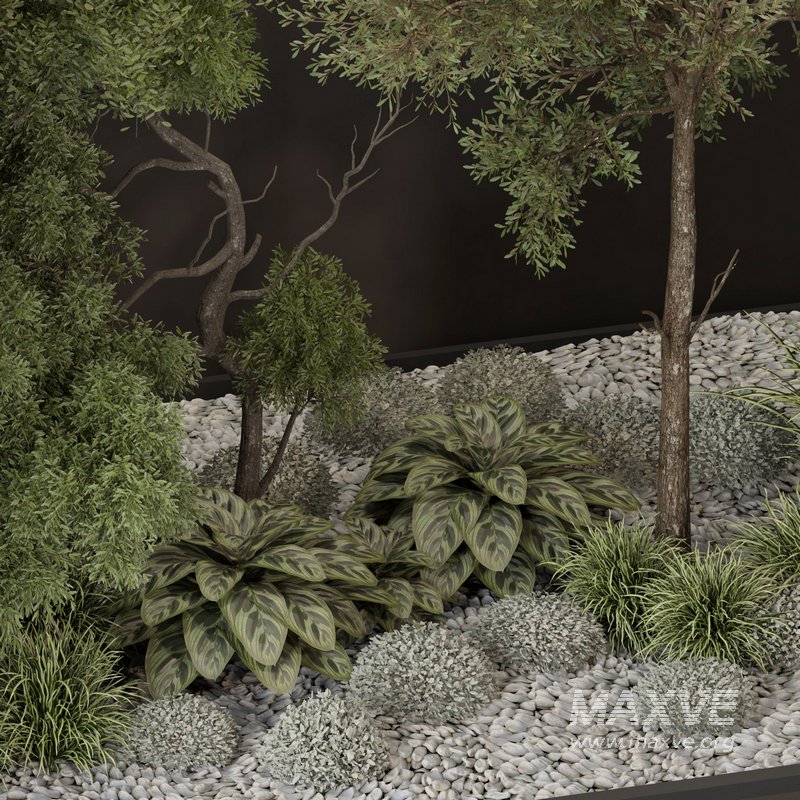 outdoor garden tree plant011 collection - Image 2