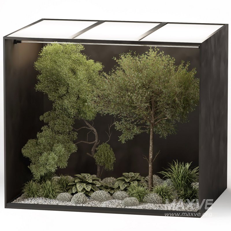 outdoor garden tree plant011 collection - Image 3