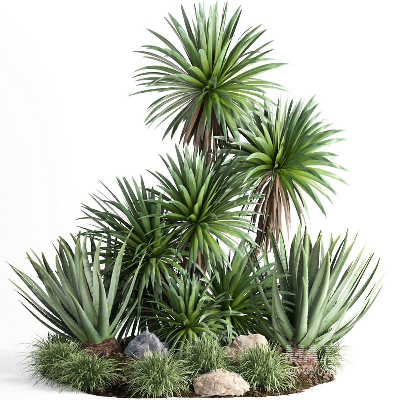 outdoor garden tree plant013 collection - Image 1