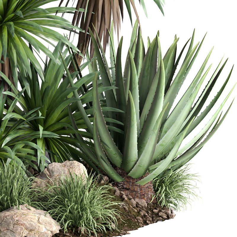 outdoor garden tree plant013 collection - Image 2