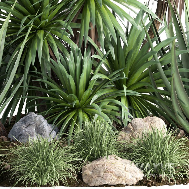 outdoor garden tree plant013 collection - Image 4