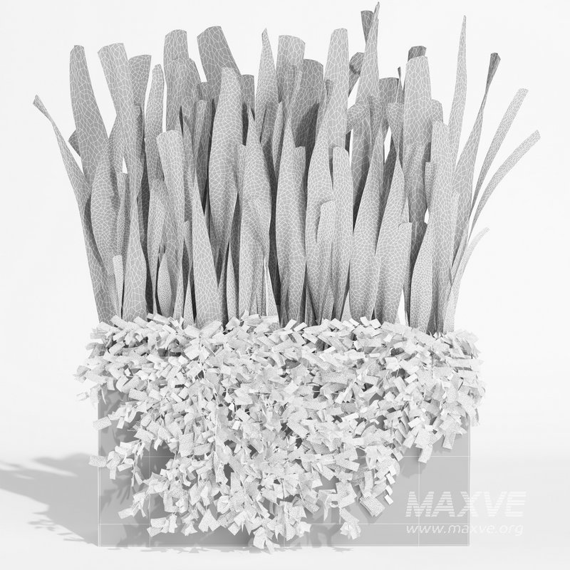 outdoor indoor plant008 sansevieria collection01 - Image 4