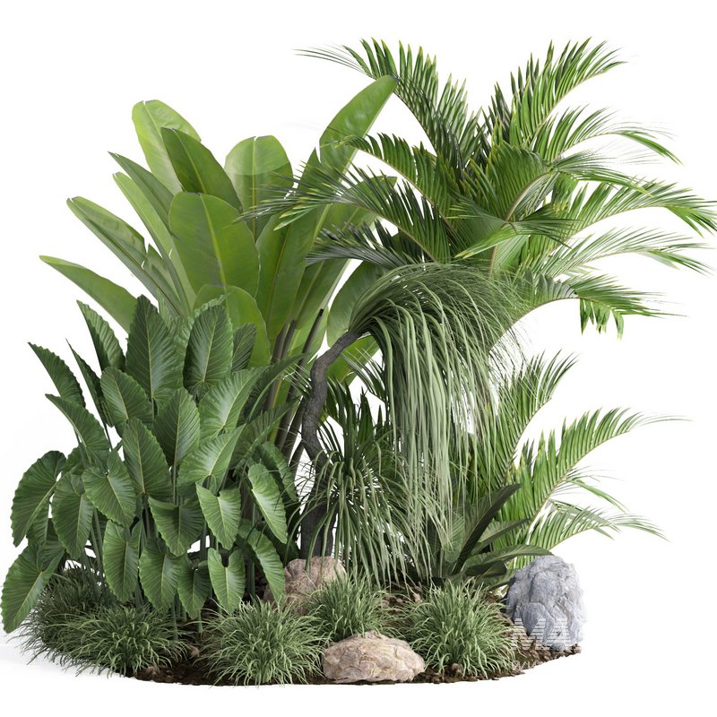 outdoor plant collection garden010 - Image 1