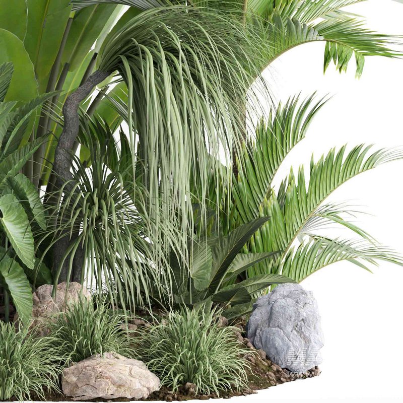 outdoor plant collection garden010 - Image 2