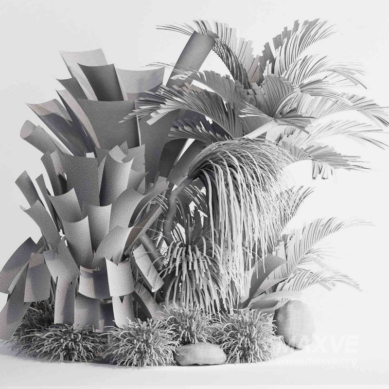 outdoor plant collection garden010 - Image 5