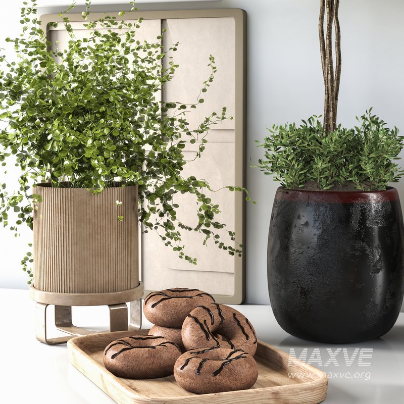 Decorative set 19 - Image 5