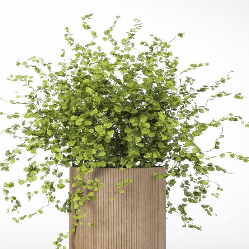 Decorative set 20 - Image 3