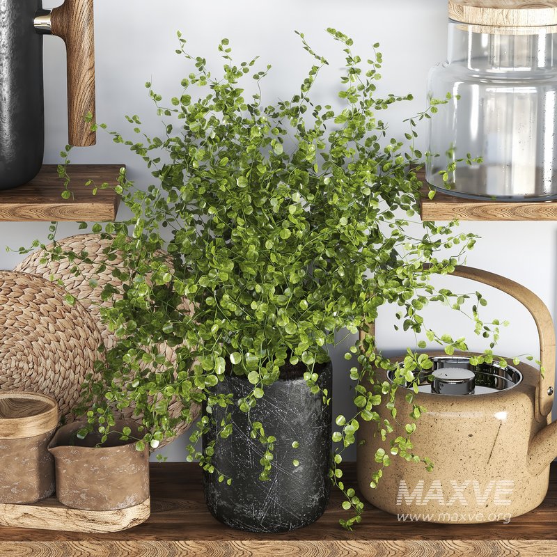 kitchen accessories 014 - Image 2