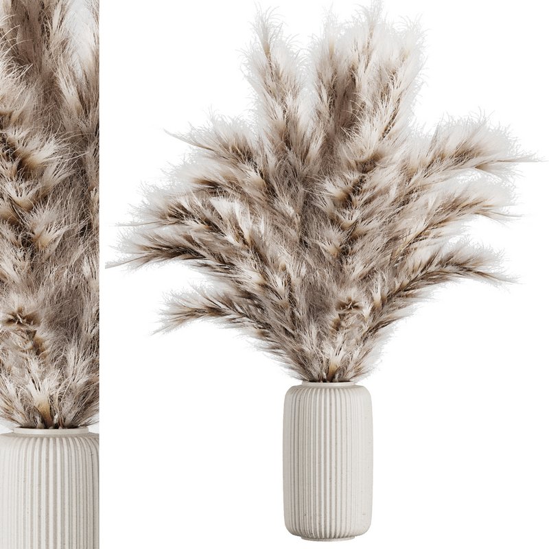 Pampas vase set50 - Image 1