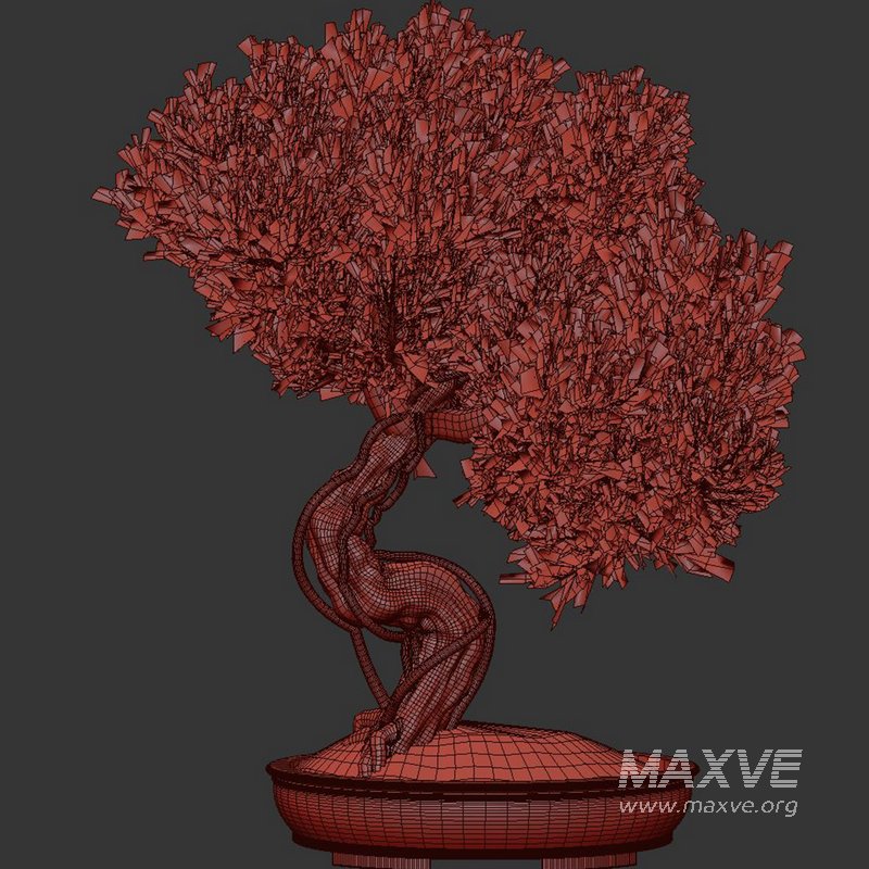 Bonsai Tree set7 - Image 4