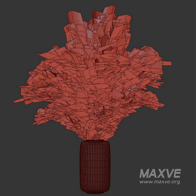 Pampas vase set50 - Image 4