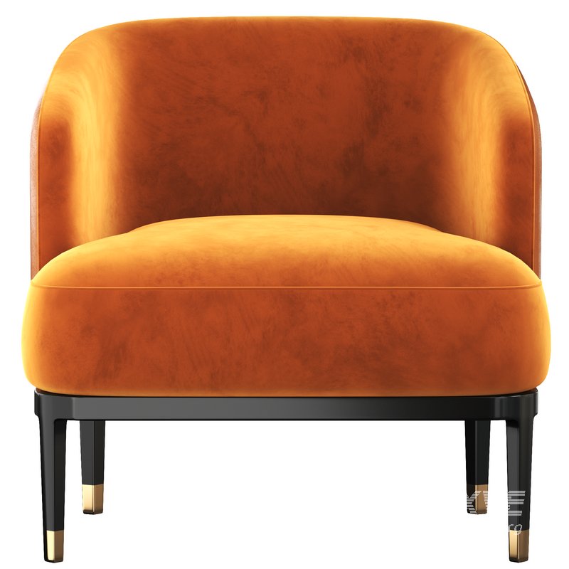 LUNGOTEVERE_LEATHER_ARMCHAIR - Image 1