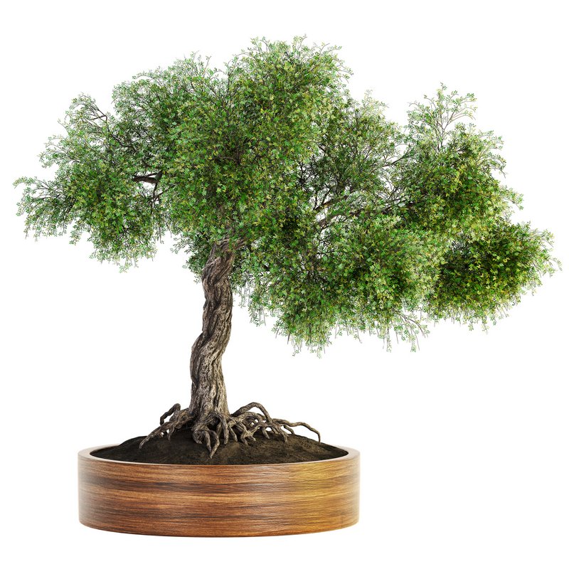 Indoor Plant Set 031 - Image 1