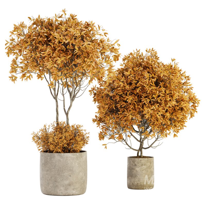 Indoor Plant Set 022 - Image 1