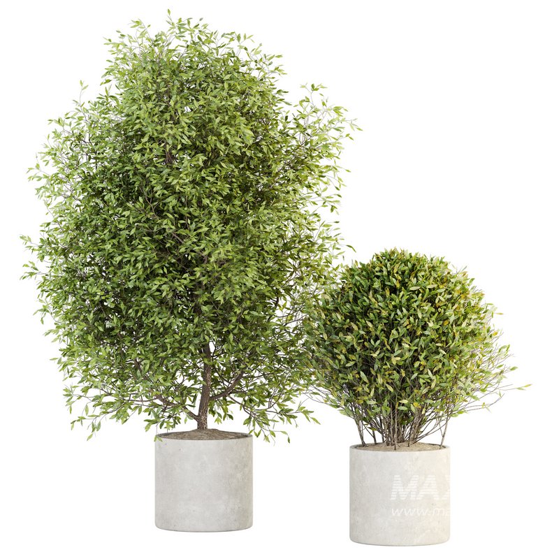 Indoor Plant Set 028 - Image 1