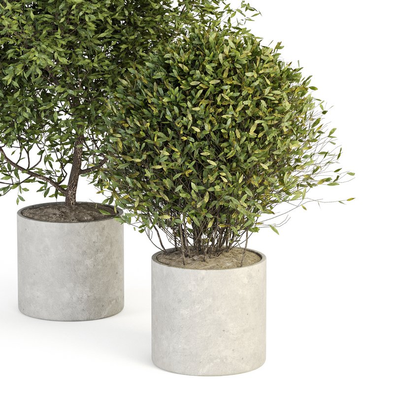 Indoor Plant Set 028 - Image 2