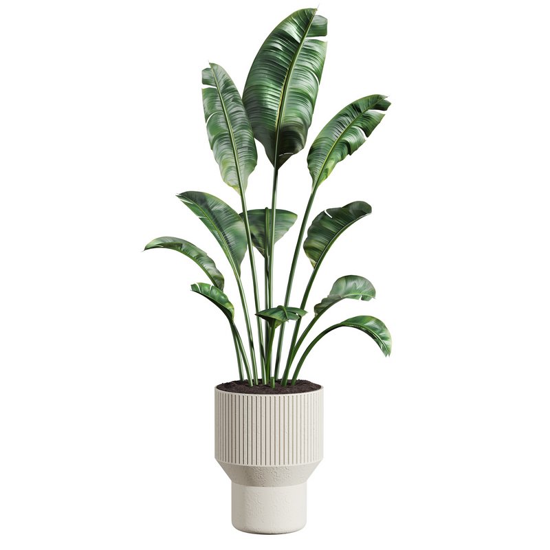 plants set 02 - Image 2