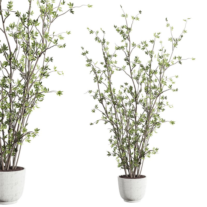 plants set 03 - Image 2