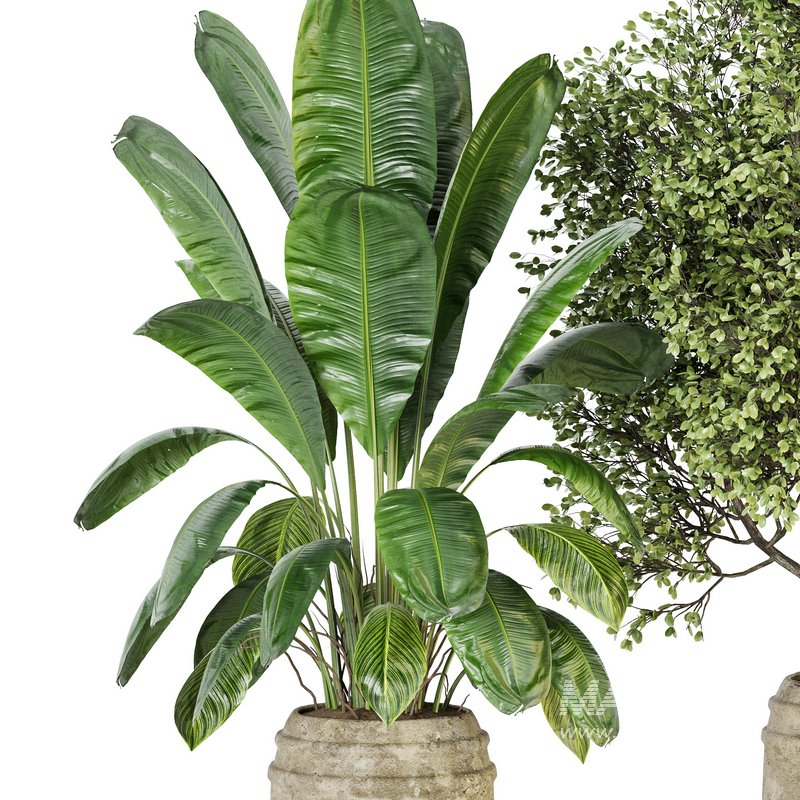 Indoor Plant Set 023 - Image 2